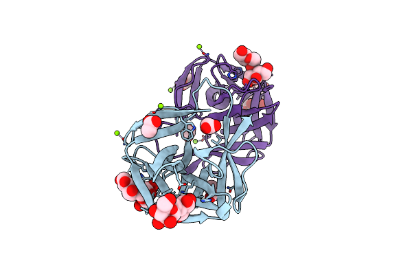 8JEB image