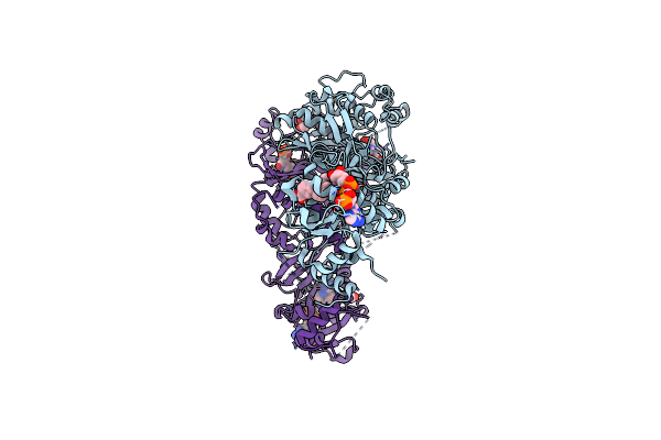 8JFD image