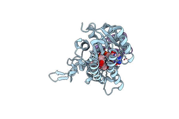 8JFN image