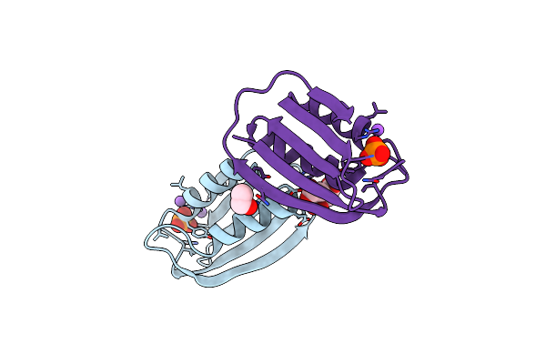 8JFS image