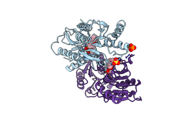 8JFV image