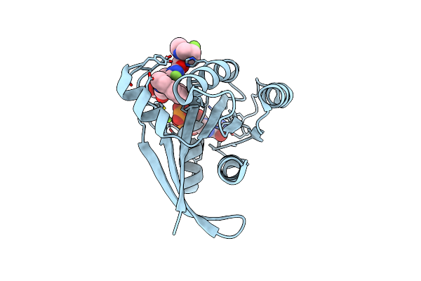 8JHL image