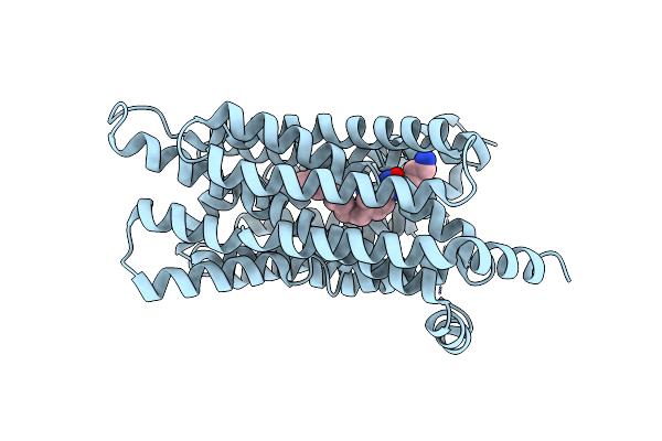 8JHR image