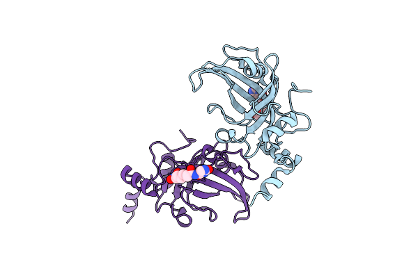 8JIG image