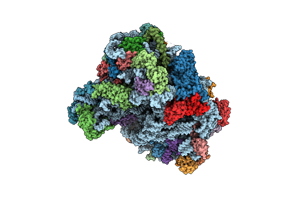 8JIV image
