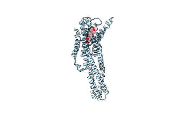 8JJ8 image