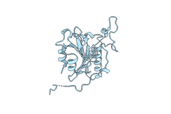 8JJF image