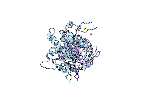 8JJW image