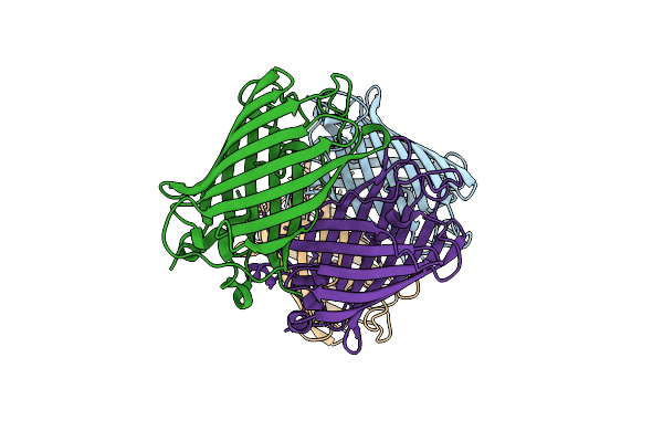 8JKI image