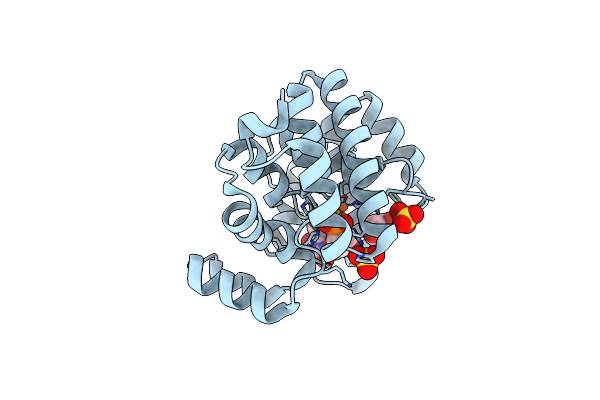 8JKP image