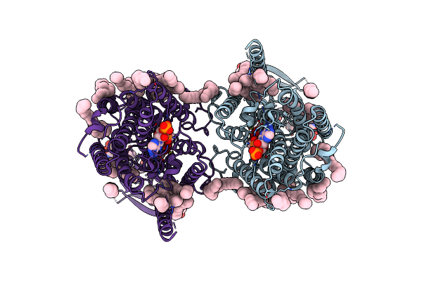 8JL3 image
