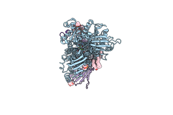 8JMN image
