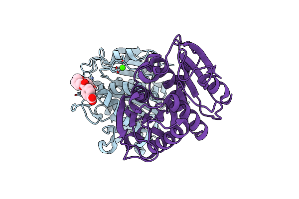 8JMP image