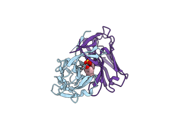 8JMR image