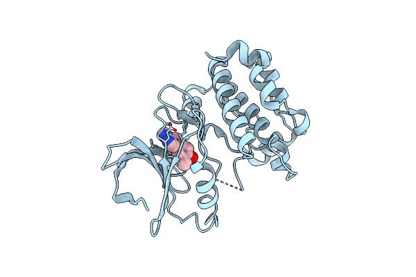 8JMX image
