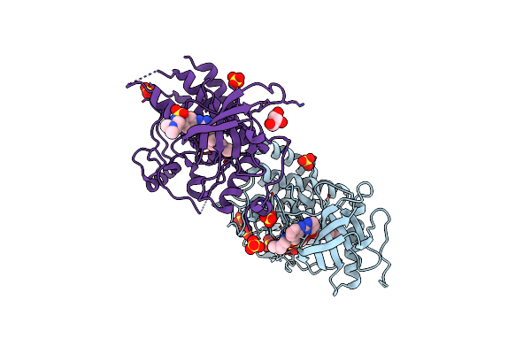 8JMZ image