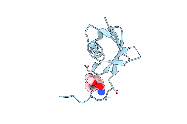 8JNB image