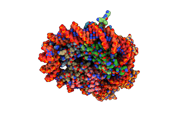 8JNF image