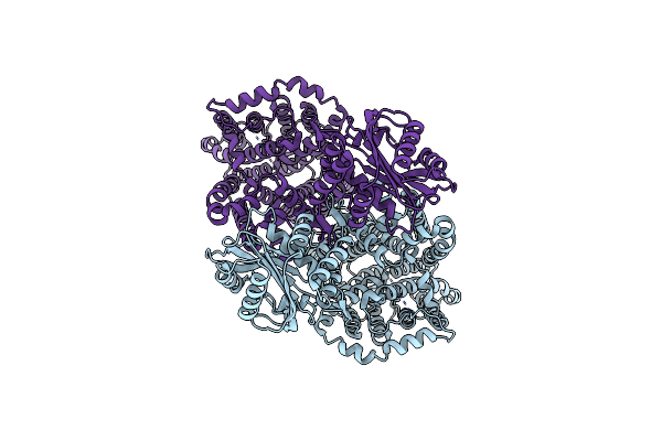 8JNJ image