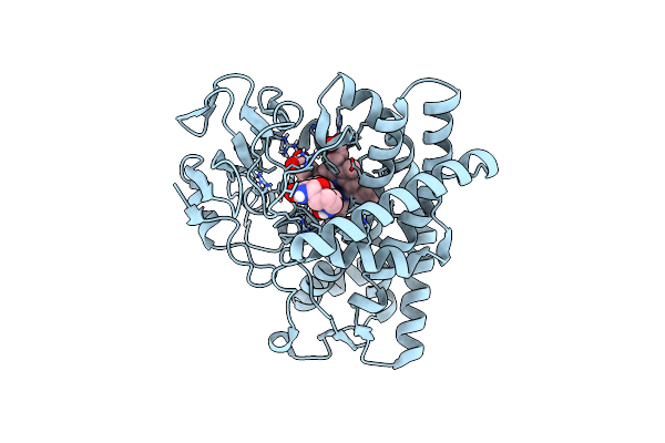 8JNP image