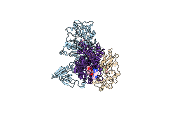 8JPB image