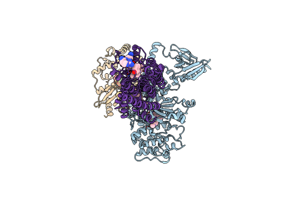 8JPC image