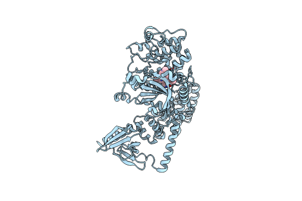 8JPD image