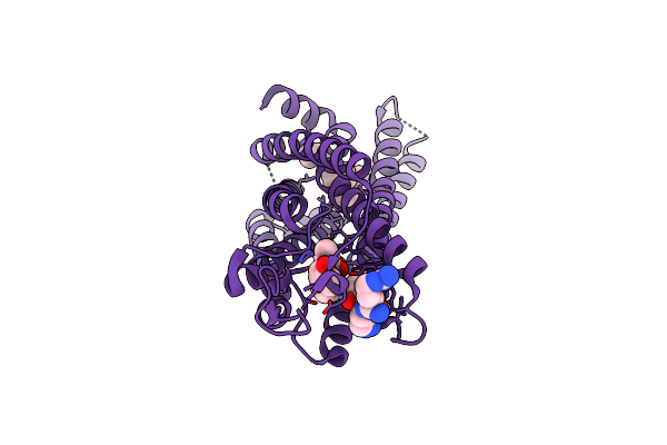 8JPF image