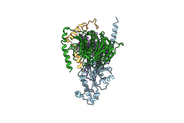 8JPP image