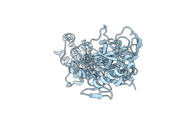 8JPV image