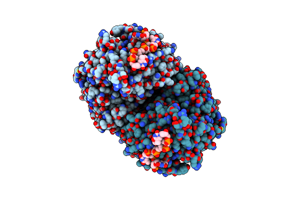 8JPX image