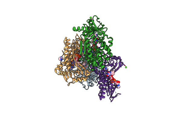 8JQO image