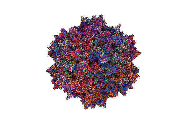 8JRE image