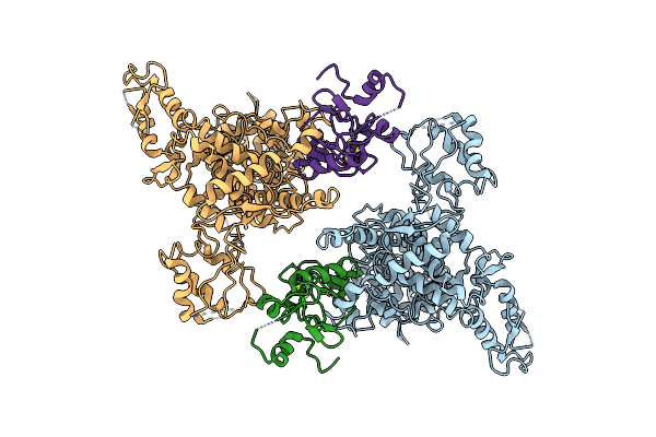 8JRR image