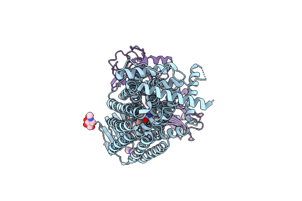 8JS8 image