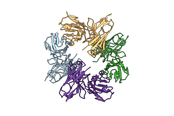 8JSB image