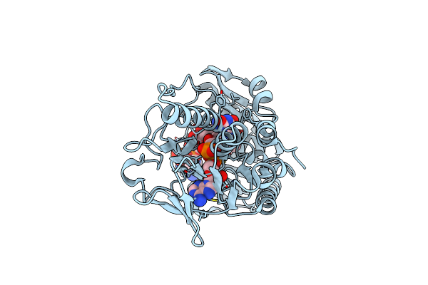 8JSC image