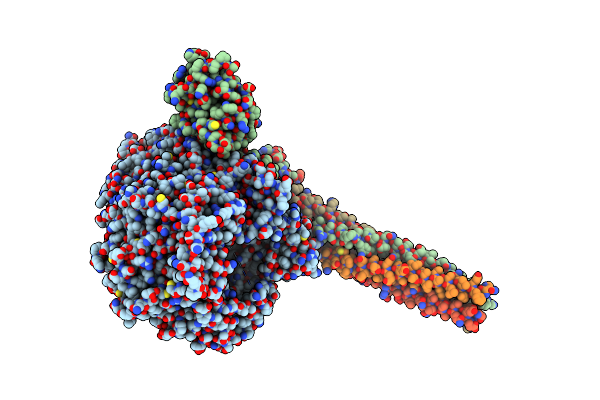 8JSN image