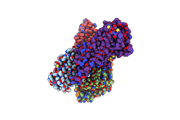 8JSP image