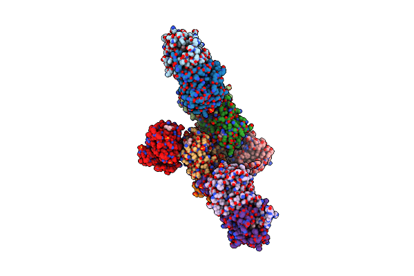 8JSV image