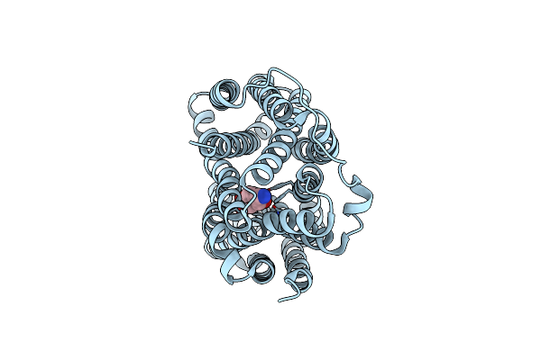 8JSX image