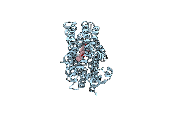8JTA image
