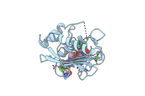 8JUG image