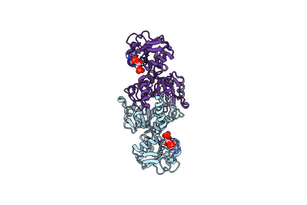 8JUS image