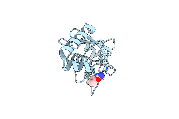 8JVD image