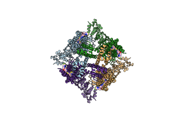 8JVI image