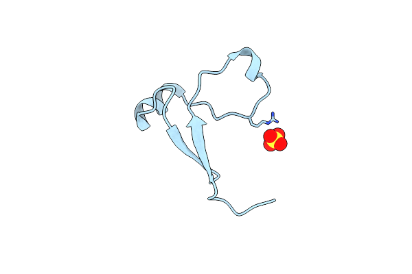 8JVP image