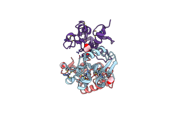 8JWS image