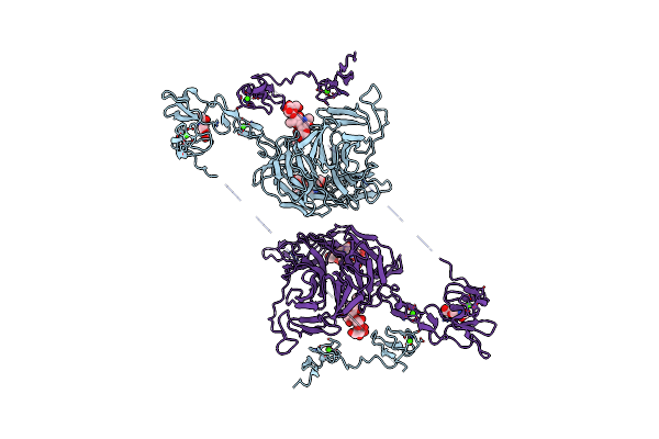 8JXJ image