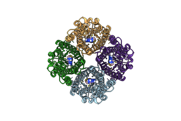 8JY6 image
